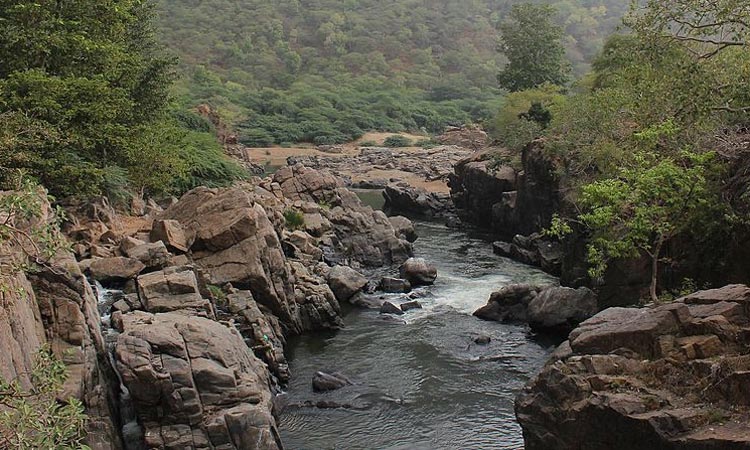 நீர்வரத்து குறைந்ததால் பாறைகளாக காட்சியளிக்கும் ஒகேனக்கல் காவிரி ஆறு
