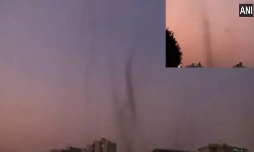 புனேவில் சூறாவளி காற்றுபோல சுழன்ற கொசுக்கள் - அச்சத்தில் மக்கள் புனேவில் சூறாவளி காற்றுபோல சுழன்ற கொசுக்கள் - அச்சத்தில் மக்கள்