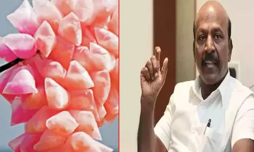 தமிழகத்தில் பஞ்சு மிட்டாய் விற்பனைக்கு தடையா? அமைச்சர் மா.சுப்பிரமணியன் விளக்கம் தமிழகத்தில் பஞ்சு மிட்டாய் விற்பனைக்கு தடையா? அமைச்சர் மா.சுப்பிரமணியன் விளக்கம்