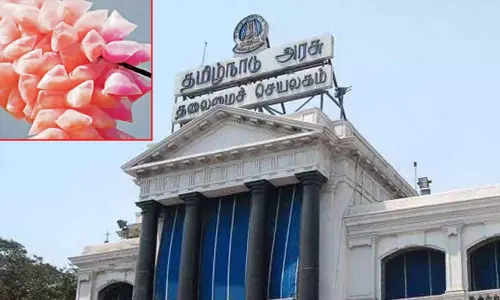 தமிழகத்தில் பஞ்சு மிட்டாய் விற்பனைக்கு அரசு தடை தமிழகத்தில் பஞ்சு மிட்டாய் விற்பனைக்கு அரசு தடை