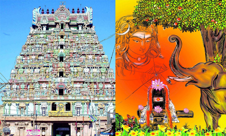 பிரம்மன் அருள்பெற்ற 'திருவானைக்காவல்' திருக்கோவில்