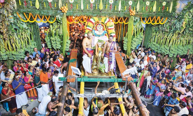 சென்னையில் பிரம்மோற்சவம்.. பத்மாவதி தாயார் யானை வாகனத்தில் வீதி உலா