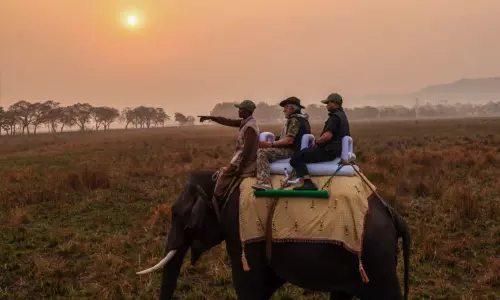 காசிரங்கா தேசிய பூங்காவில் யானை சவாரி செய்த பிரதமர் மோடி காசிரங்கா தேசிய பூங்காவில் யானை சவாரி செய்த பிரதமர் மோடி