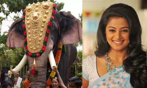 கோவிலுக்கு இயந்திர யானையை பரிசாக வழங்கிய நடிகை பிரியாமணி