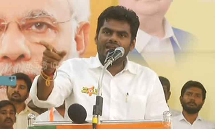 நாடாளுமன்ற தேர்தல்: தமிழகத்தில் 29-ந்தேதி முதல் அண்ணாமலை பிரசாரம்