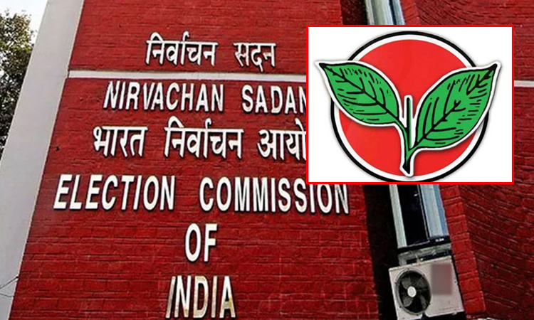 அ.தி.மு.க. இரட்டை இலை சின்னத்தில் போட்டியிட தடையில்லை:  இந்திய தேர்தல் ஆணையம்