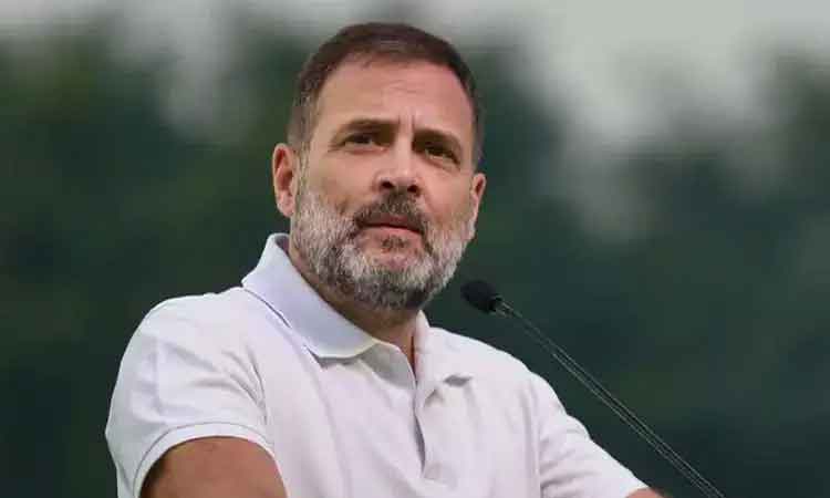 'இந்தியா கூட்டணி அரசு அமைந்தவுடன் 100 நாள் வேலை தினக்கூலி ரூ.400 ஆக உயர்த்தப்படும்' - ராகுல் காந்தி