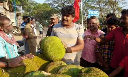 வேலூர் தொகுதியில் போட்டியிடும் மன்சூர் அலிகானுக்கு பலாப்பழம் சின்னம் ஒதுக்கீடு