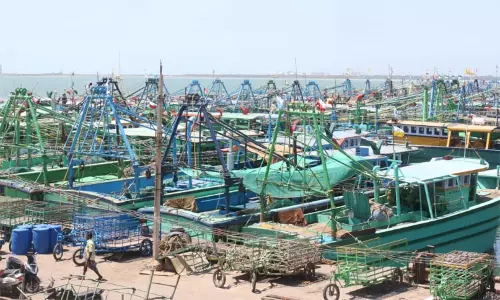 தமிழகத்தில் 15-ந்தேதி முதல் மீன்பிடி தடைக்காலம் அமல்