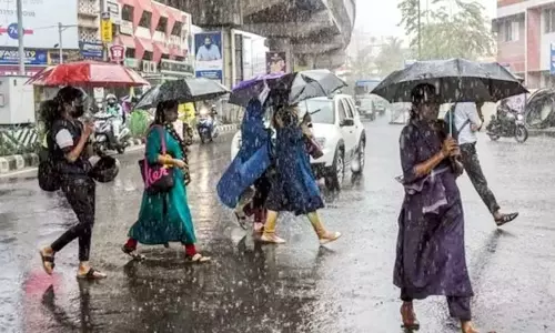 தமிழகத்தில் 7 மாவட்டங்களில் மதியம் 1 மணி வரை மிதமான மழைக்கு வாய்ப்பு தமிழகத்தில் 7 மாவட்டங்களில் மதியம் 1 மணி வரை மிதமான மழைக்கு வாய்ப்பு