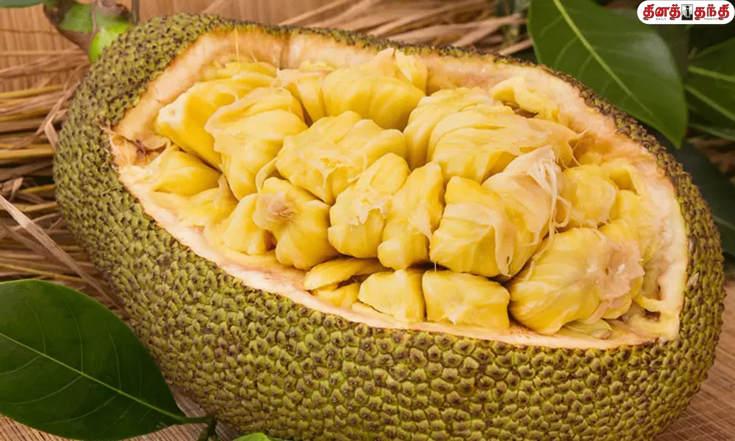 பலாப்பழத்தில் இவ்வளவு நன்மைகளா?வாங்க பார்க்கலாம்..!