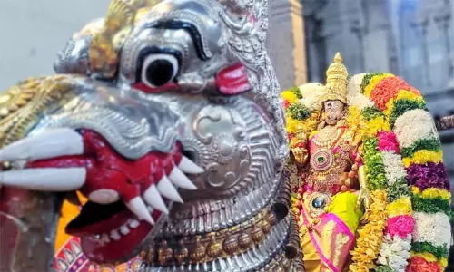 சித்திரை திருவிழா: யாழி வாகனத்தில் பக்தர்களுக்கு அருள்பாளித்த மீனாட்சி அம்மன் சித்திரை திருவிழா: யாழி வாகனத்தில் பக்தர்களுக்கு அருள்பாளித்த மீனாட்சி அம்மன்