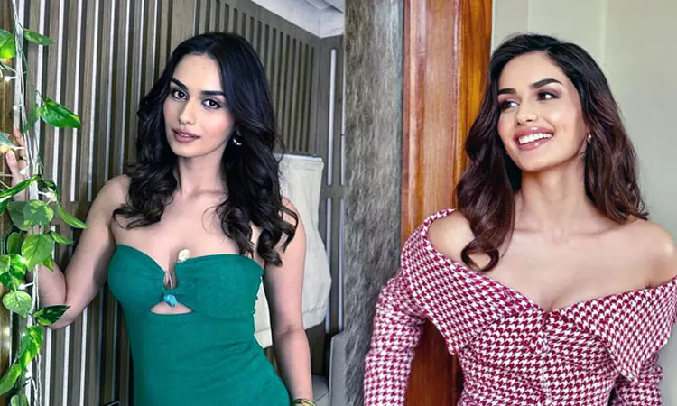 அது உண்மையாக இருந்திருந்தால் அனிமல் படத்தில் இந்த பாத்திரத்தில்... - பாலிவுட் நடிகை