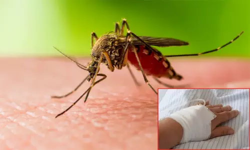 கேரளாவில் பரவும் மேற்கு நைல் காய்ச்சல்.. அனைத்து மாவட்டங்களுக்கும் பறந்த உத்தரவு