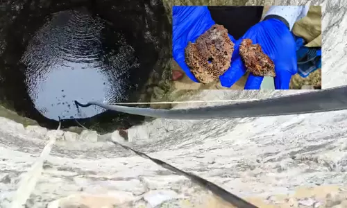 குடிநீர் கிணற்றில் மனித மலம் கலக்கப்பட்டதாக எழுந்த புகாரில் அது தேன் அடை என்பது உறுதி குடிநீர் கிணற்றில் மனித மலம் கலக்கப்பட்டதாக எழுந்த புகாரில் அது தேன் அடை என்பது உறுதி