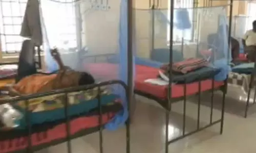 தமிழகத்தில் டெங்கு பாதிப்பு அதிகரிப்பு - வழிகாட்டுதல்கள் வெளியீடு