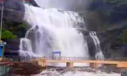 தென்காசி மாவட்டத்தில் உள்ள அருவிகள், அணைகளில் குளிக்கத் தடை - கலெக்டர் உத்தரவு