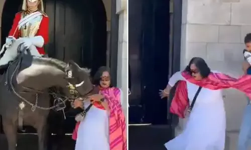 ஒரு கடி கடித்த குதிரை