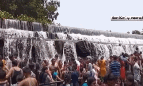 கொடிவேரி தடுப்பணையில் அருவி போல் கொட்டும் தண்ணீர் - உற்சாகமாக குளித்து மகிழ்ந்த சுற்றுலா பயணிகள் கொடிவேரி தடுப்பணையில் அருவி போல் கொட்டும் தண்ணீர் - உற்சாகமாக குளித்து மகிழ்ந்த சுற்றுலா பயணிகள்