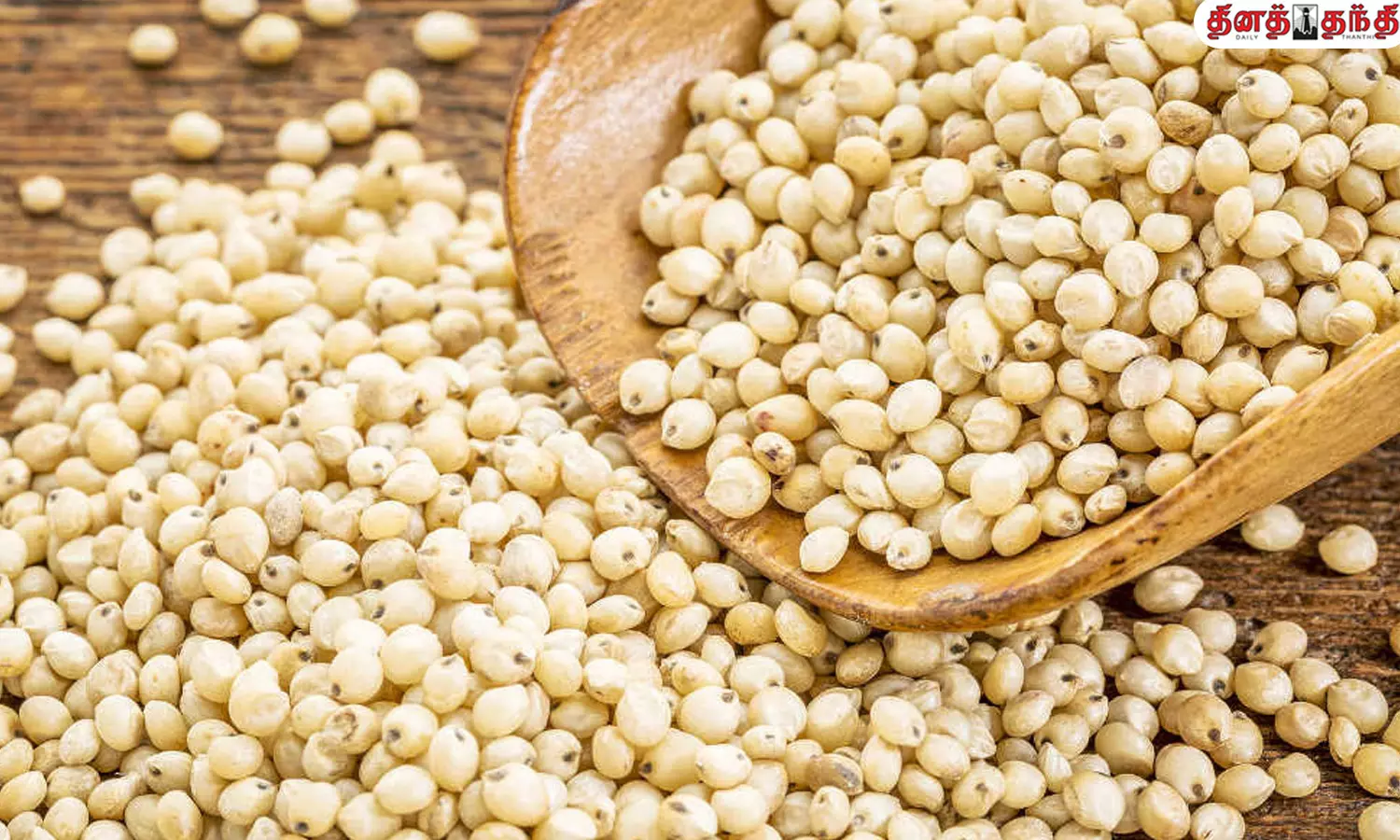 வெள்ளை சோளத்தை உணவில் சேர்த்துக் கொள்வதால் ஏற்படும் நன்மைகள்..!