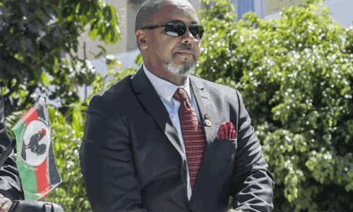 Malawi Vice President dies in plane crash
