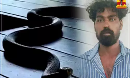 திருப்பத்தூர் அருகே சாரைப்பாம்பை சமைத்து சாப்பிட்ட இளைஞர் கைது - வனத்துறை அதிரடி