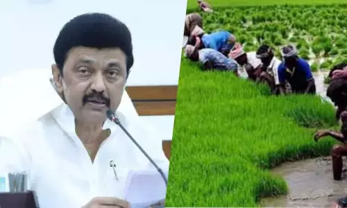 டெல்டா குறுவை சாகுபடி சிறப்பு தொகுப்பு திட்டம் - தமிழக அரசு அறிவிப்பு