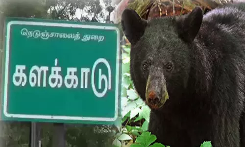 நெல்லையில் பெண்ணை கடித்து குதறிய கரடி நெல்லையில் பெண்ணை கடித்து குதறிய கரடி