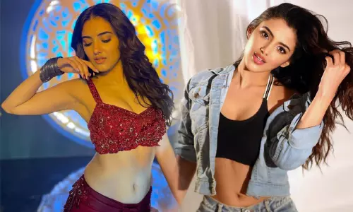 அப்படித்தான் கெரியரை ஆரம்பித்தேன் - நடிகை மாளவிகா சர்மா