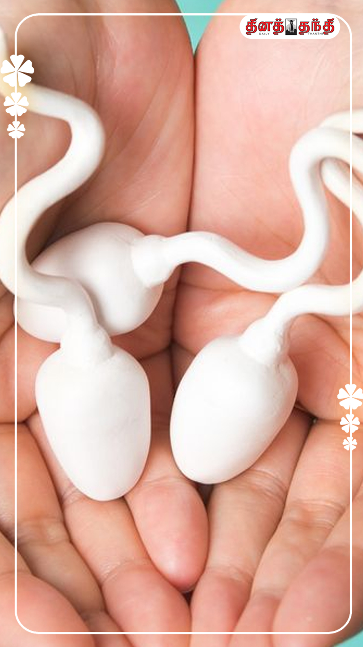 இதையெல்லாம் செய்தால் விந்தணுக்களின் எண்ணிக்கை அதிகரிக்குமா..!