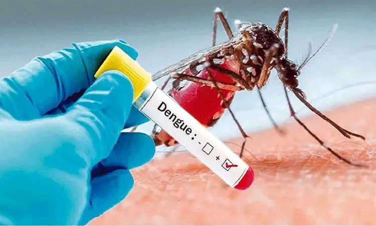 கர்நாடகாவில் தொடர்ந்து அதிகரிக்கும் டெங்கு காய்ச்சல்.. பலி எண்ணிக்கை 16 ஆக உயர்வு