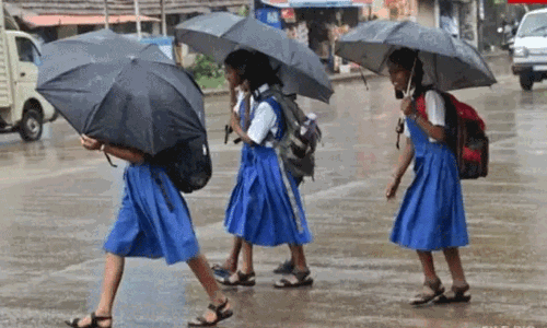 கனமழை எதிரொலி: நீலகிரியில் 4 தாலுகா பள்ளிகளுக்கு விடுமுறை