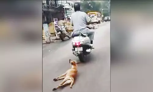 தெருநாயை ஸ்கூட்டரில் கட்டி தரதரவென இழுத்துசென்ற நபர் - பெங்களூருவில் பரபரப்பு