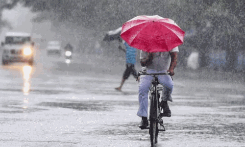 கேரளாவில் 9 மாவட்டங்களுக்கு மஞ்சள் அலர்ட் கேரளாவில் 9 மாவட்டங்களுக்கு மஞ்சள் அலர்ட்