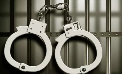 போதைப்பொருள் கடத்தல் வழக்கு: ஜாபர் சாதிக் சகோதரரும் கைது