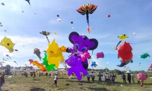 திருவிடந்தை கடற்கரை பகுதியில் சர்வதேச காற்றாடி திருவிழா