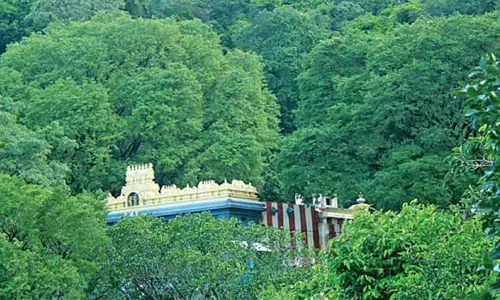 திருமலை நம்பி கோவில்