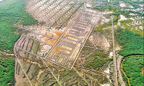 அலையாத்திக்காட்டில் தமிழ் வாழ்க எழுத்து வடிவில் வாய்க்கால் அமைப்பு அலையாத்திக்காட்டில் தமிழ் வாழ்க எழுத்து வடிவில் வாய்க்கால் அமைப்பு