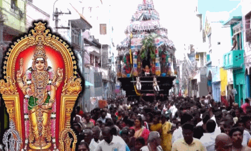 திருச்செந்தூர் ஆவணி திருவிழா தேரோட்டம் கோலாகலம்... விண்ணை எட்டிய அரோகரா முழக்கம் திருச்செந்தூர் ஆவணி திருவிழா தேரோட்டம் கோலாகலம்... விண்ணை எட்டிய அரோகரா முழக்கம்