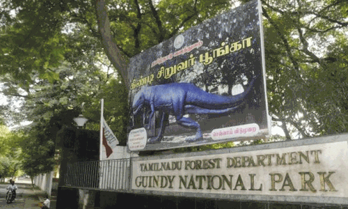 சென்னை கிண்டி பூங்கா நாளை திறந்திருக்கும் - பூங்கா நிர்வாகம் அறிவிப்பு