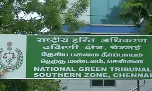 சென்னை கூவம் ஆற்றில் வரும் 30 ஆம் தேதிக்குள்.. - பசுமை தீர்ப்பாயம் விதித்த உத்தரவு