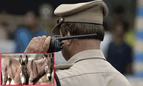 கழுதை உயிரிழப்பு: மின் ஊழியர்களை கடத்திய 55 பேர் மீது வழக்கு கழுதை உயிரிழப்பு: மின் ஊழியர்களை கடத்திய 55 பேர் மீது வழக்கு