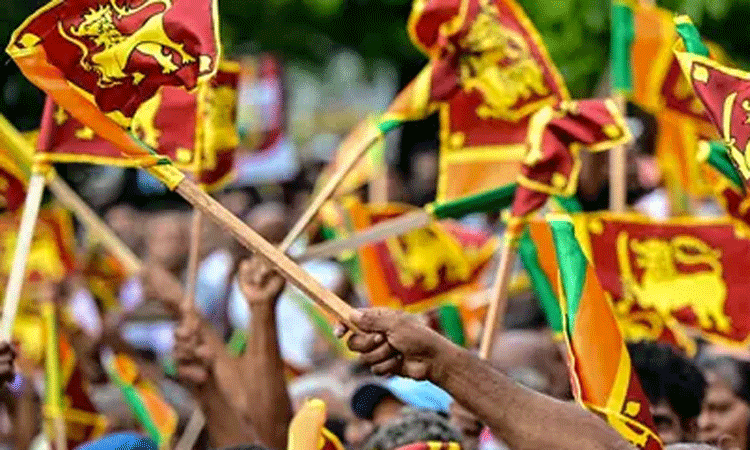 இலங்கை அதிபர் தேர்தல்: முன்னிலை நிலவரம் தேசிய... ... இலங்கை அதிபர் தேர்தலில் 42.31 சதவீத வாக்குகளுடன் அனுரா குமார திசநாயகே வெற்றி; நாளை பதவியேற்பு இலங்கை அதிபர் தேர்தல்: முன்னிலை நிலவரம் தேசிய... ... இலங்கை அதிபர் தேர்தலில் 42.31 சதவீத வாக்குகளுடன் அனுரா குமார திசநாயகே வெற்றி; நாளை பதவியேற்பு