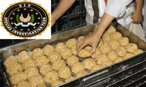 திருப்பதி லட்டு விவகாரம்: சிறப்பு புலனாய்வுக் குழு விசாரணை நிறுத்தம்