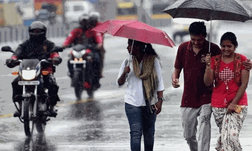 அடுத்த 3 மணி நேரத்தில் 31 மாவட்டங்களில் மழைக்கு வாய்ப்பு அடுத்த 3 மணி நேரத்தில் 31 மாவட்டங்களில் மழைக்கு வாய்ப்பு