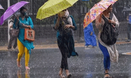 மாலை 4 மணி வரை 26 மாவட்டங்களில் மழைக்கு வாய்ப்பு மாலை 4 மணி வரை 26 மாவட்டங்களில் மழைக்கு வாய்ப்பு