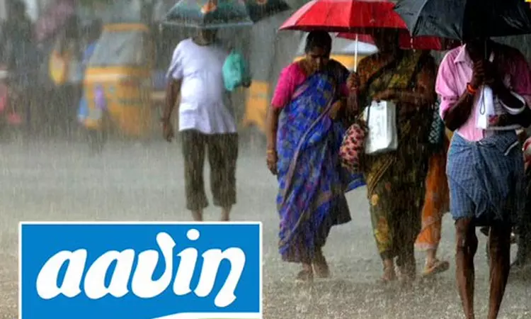 ஆவின் பால் தடையின்றி கிடைக்க நடவடிக்கை ஆவின் பால் தடையின்றி கிடைக்க நடவடிக்கை