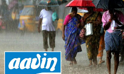 ஆவின் பால் தடையின்றி கிடைக்க நடவடிக்கை