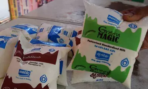 பச்சை நிற பால் பாக்கெட் விற்பனை குறைப்பா..? ஆவின் நிர்வாகம் விளக்கம்