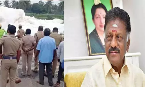 தென்பெண்ணை ஆற்றில் நச்சு நுரை:  தடுத்து நிறுத்த நடவடிக்கை தேவை - ஓ.பன்னீர்செல்வம் வலியுறுத்தல்